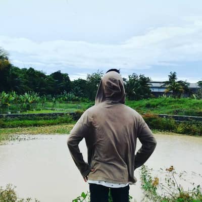 Hae budin