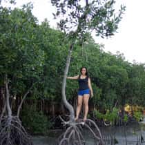 Ekee
