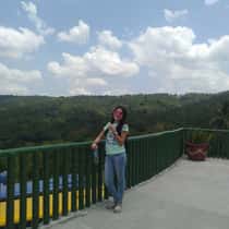 sheng