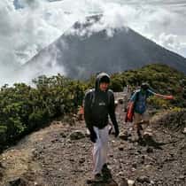 Syamsul rr