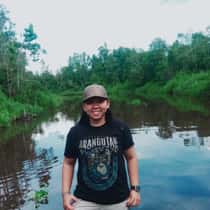 Rindu