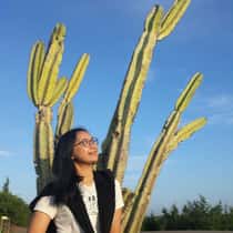 Prasasti Setyaningrum