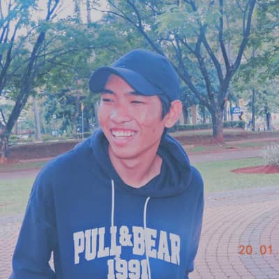 Biboys