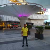 Puia