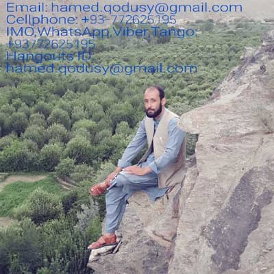 Hamed Wardak
