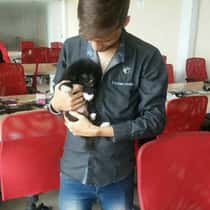 Samstar