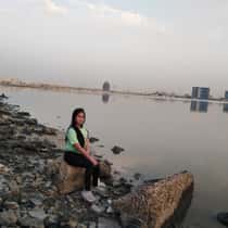 Sheeren