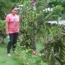 ayen