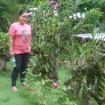 ayen