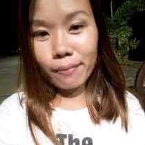 Honeybee