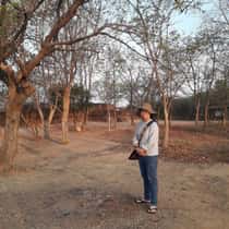 Khine lay