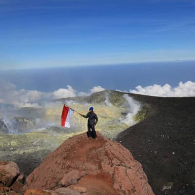 Febri