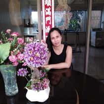 Criza