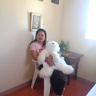 Amor