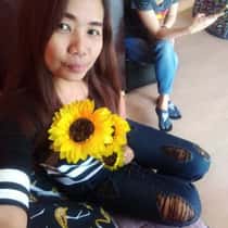 vhibs