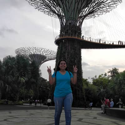 Erlyn