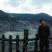 D.novian