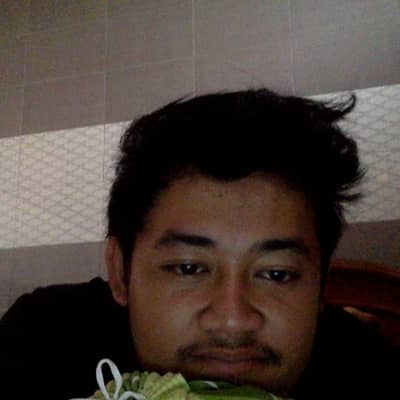 Syauqi firdaus