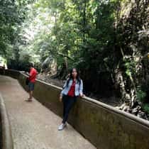 Yudit