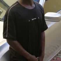 Papilo