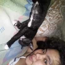Pola t decon