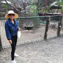 Edith Misa