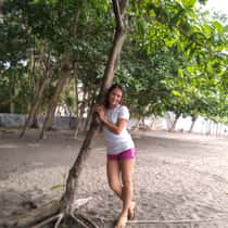Rheamae