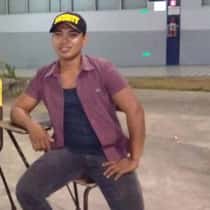 harvy