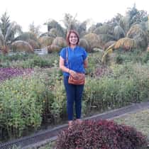 elaine f. enciso