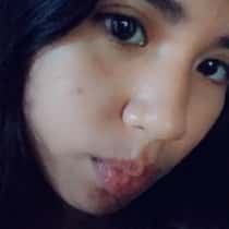 Feebee224