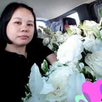 judie