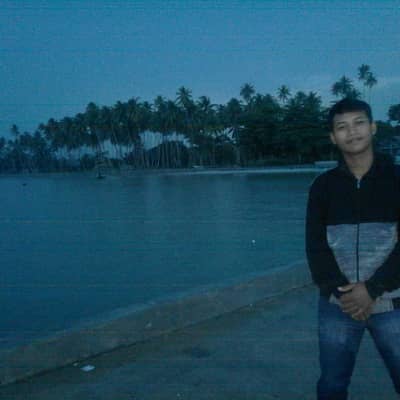 tolip