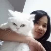 kaye