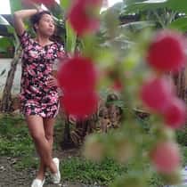 Marites