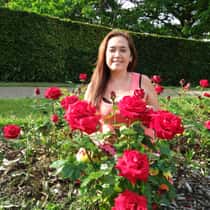 Miraflor narciso