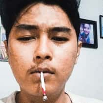 arifaniksan