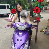 honey