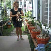 mary