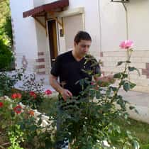 Roy Zivko