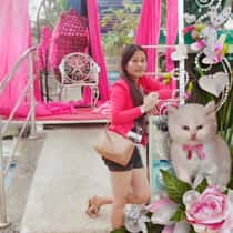 analyn