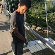 mark