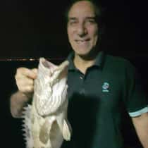 silverbream11