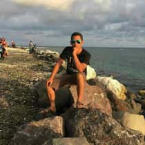 david