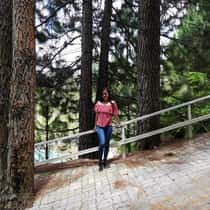Maire