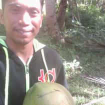 jay
