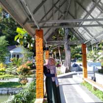 widi