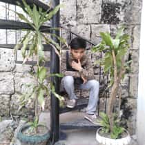 Alvin