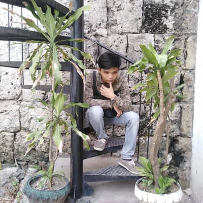 Alvin