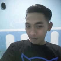 mikerangga