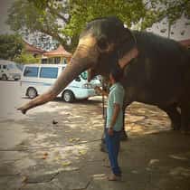pawan